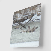 B7 Canadese ganzen Vierkante Klok (Hoek)