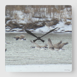 B7 Canadese ganzen Vierkante Klok