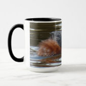 B8 Gangbare cursus Mok (Links)