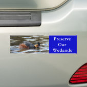 B8 Kuifduiker baltsend Bumpersticker (Op auto)