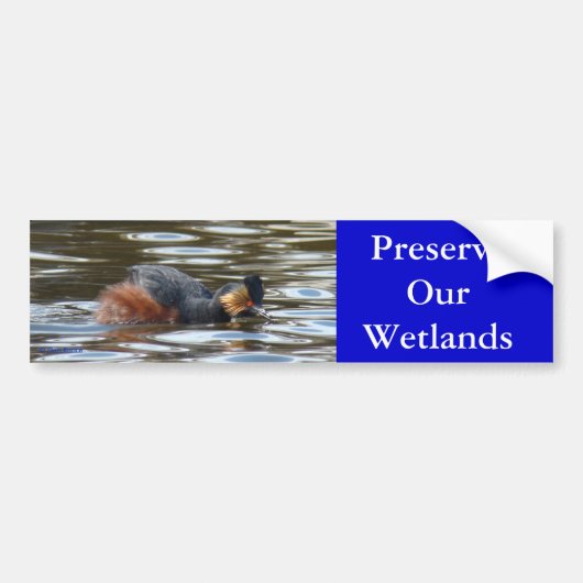 B8 Kuifduiker baltsend Bumpersticker (Voorkant)