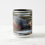 B8 Kuifduiker baltsend Mok (Midden)