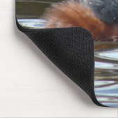 B8 Kuifduiker baltsend Muismat (Hoek)