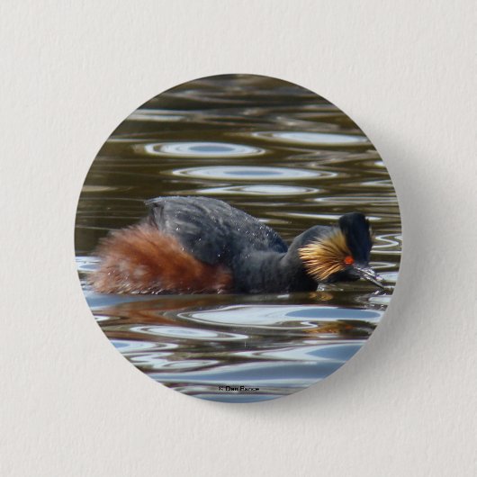 B8 Kuifduiker baltsend Ronde Button 5,7 Cm (Voorkant)