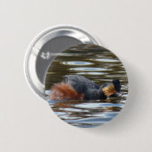 B8 Kuifduiker baltsend Ronde Button 5,7 Cm (Voorkant /achterkant)