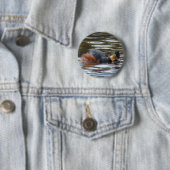 B8 Kuifduiker baltsend Ronde Button 5,7 Cm (In situ)