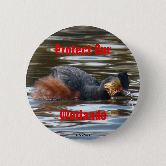 B8 Kuifduiker baltsend Ronde Button 5,7 Cm (Voorkant)