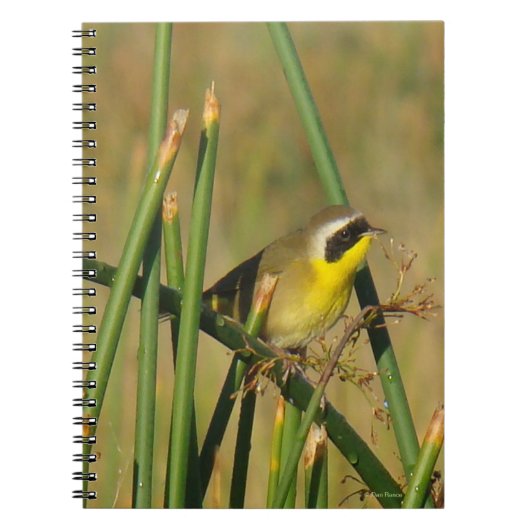 B9 Geelkeelzanger Notitieboek (Voorkant)