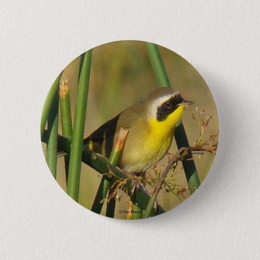 B9 Geelkeelzanger Ronde Button 5,7 Cm (Voorkant)