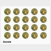 B9 Geelkeelzanger Ronde Sticker (Vel)