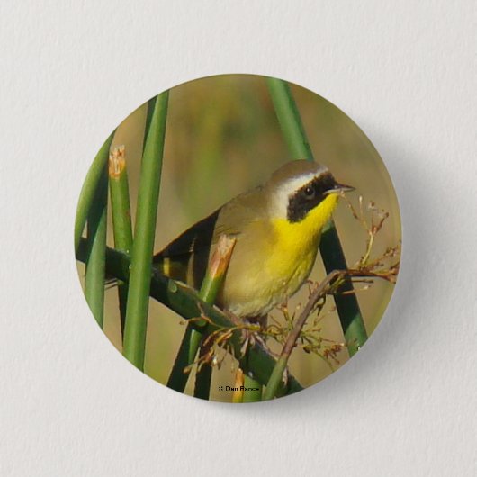 B9 Vaak Geelkeel Ronde Button 5,7 Cm (Voorkant)