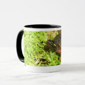 B 01 MOK (Voorkant links)