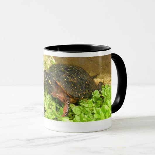 B 01 MOK (Voorkant rechts)