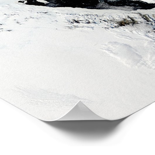 B-15J ijsberg op het Ross-Zee, Antarctica Poster (Hoek)