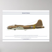 B-17G Israël 1 Poster (Voorkant)