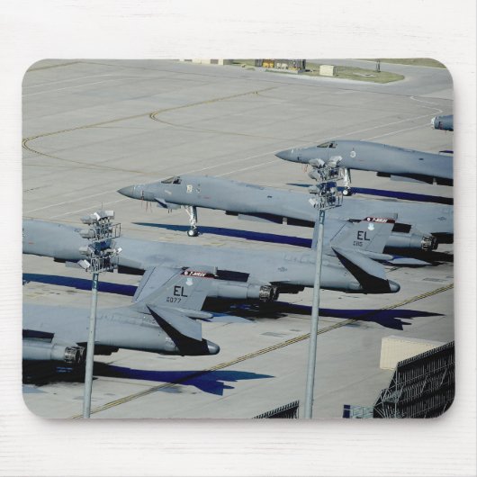 B-1 MUISMAT (Voorkant)