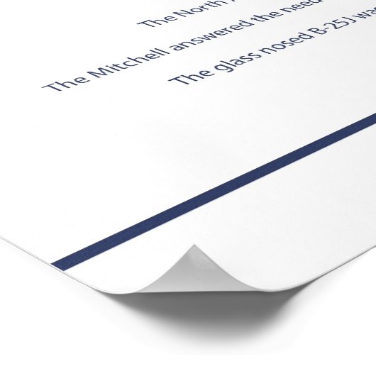 B-25 VS Doolittle Poster (Hoek)