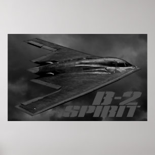 B-2 Gedistilleerd Poster