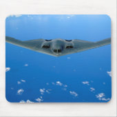 B-2 MUISMAT (Voorkant)