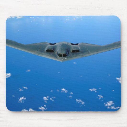 B-2 MUISMAT (Voorkant)