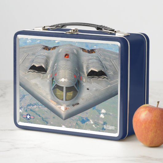 B-2 SPIRIT (In situ)