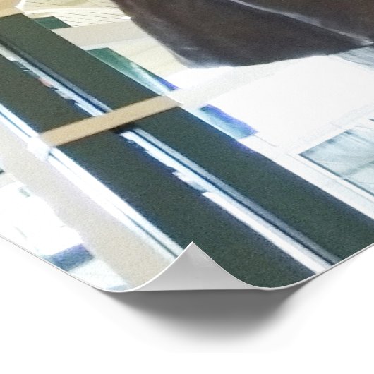 B.B. King Statue - Memphis (Tennessee) Poster (Hoek)