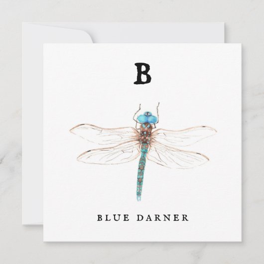 "B" Blue Darner (Voorkant)