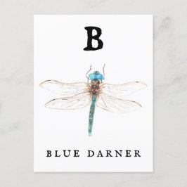 "B" Blue Darner Briefkaart