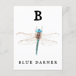 "B" Blue Darner Briefkaart