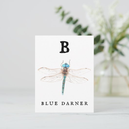 "B" Blue Darner Briefkaart (Staand voorkant)