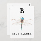 "B" Blue Darner Briefkaart (Voorkant / Achterkant)