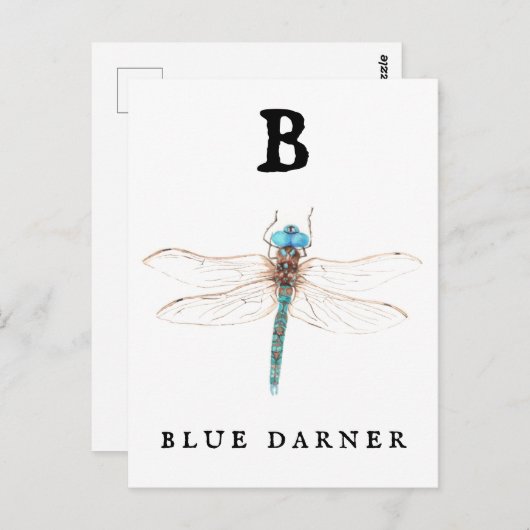 "B" Blue Darner Briefkaart (Voorkant / Achterkant)