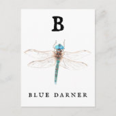"B" Blue Darner Briefkaart (Voorkant)