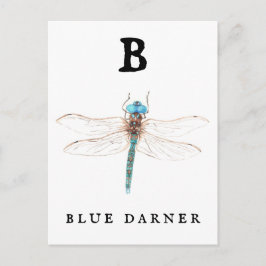 "B" Blue Darner Briefkaart