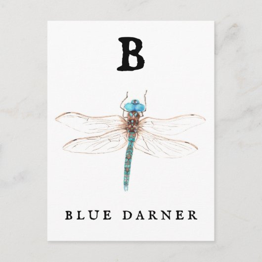 "B" Blue Darner Briefkaart (Voorkant)