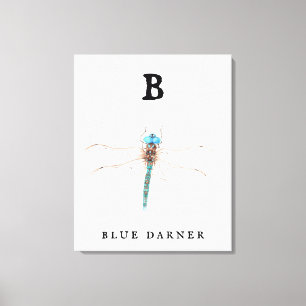 "B" Blue Darner Canvas Afdruk