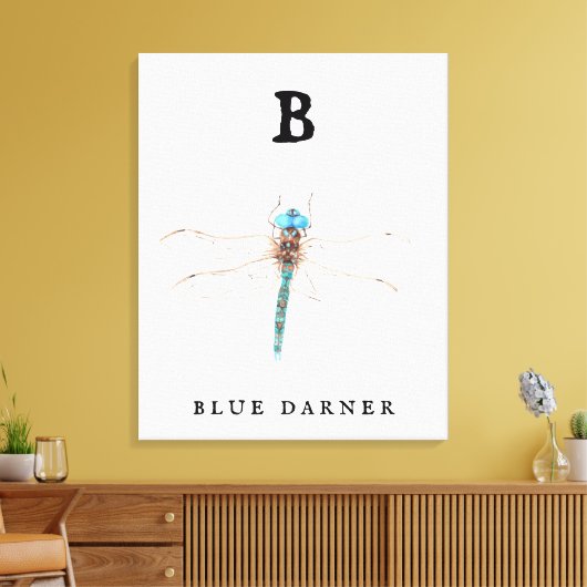 "B" Blue Darner Canvas Afdruk (Insitu (Woonkamer))