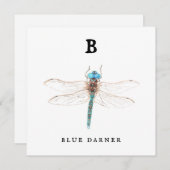 "B" Blue Darner flat card (Voorkant / Achterkant)