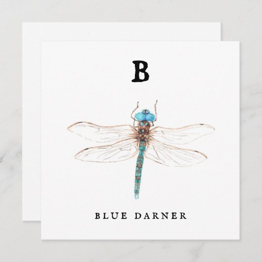 "B" Blue Darner flat card (Voorkant / Achterkant)