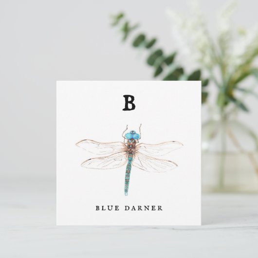 "B" Blue Darner flat card (Staand voorkant)