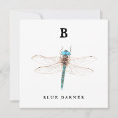 "B" Blue Darner flat card (Voorkant)