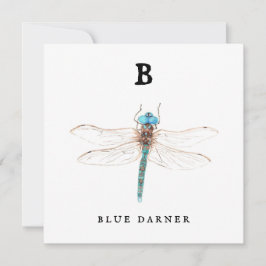 "B" Blue Darner flat card
