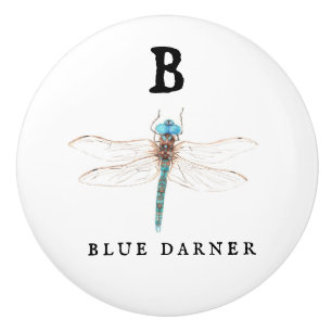 "B" Blue Darner Keramische Knop