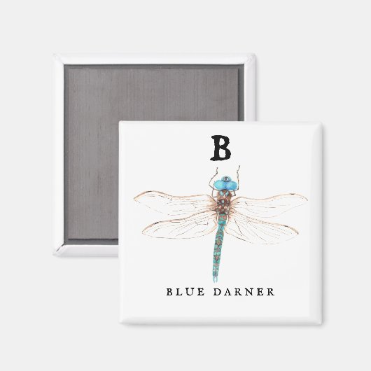 "B" Blue Darner Magneet (Voorkant / Achterkant)