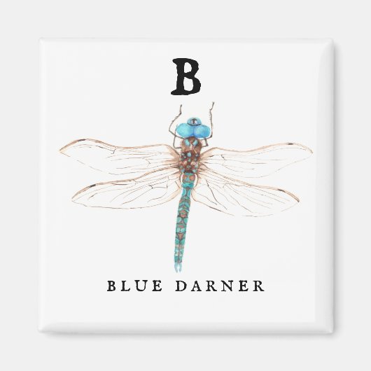 "B" Blue Darner Magneet (Voorkant)