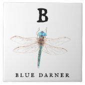 "B" Blue Darner Tegeltje (Voorkant)