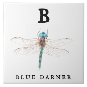 "B" Blue Darner Tegeltje