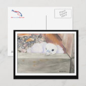 B.Briefkaart van het ontwerp van de weerstand Briefkaart (Voorkant / Achterkant)