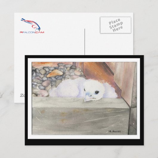 B.Briefkaart van het ontwerp van de weerstand Briefkaart (Voorkant / Achterkant)