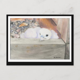 B.Briefkaart van het ontwerp van de weerstand Briefkaart